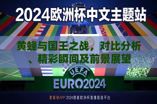 黄蜂与国王之战，对比分析、精彩瞬间及前景展望