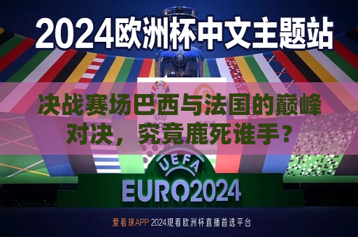 决战赛场巴西与法国的巅峰对决，究竟鹿死谁手？