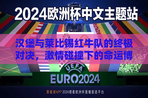 汉堡与莱比锡红牛队的终极对决，激情碰撞下的命运博弈